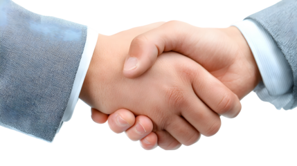Professional handshake between two business people