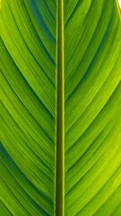 Close-up vibrant green leaf