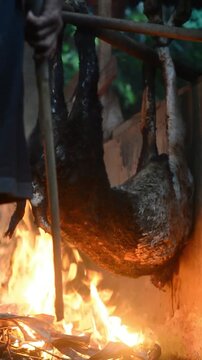 Traditional goat singeing process to remove fur before meat preparation. Rural livestock handling activity using fire technique in an outdoor environment, showcasing authentic farming practices, anima