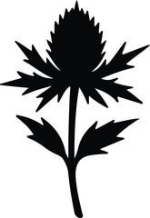 Illustrator Vector Decorative thistle wildflower plant botanical black shape silhouette