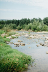 Serene Lakeside Scene with Lush Greenery and Forest Backdrop 