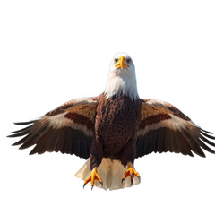 Obraz premium eagle with transparent background PNG and JPEG image