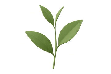 Obraz premium Realistic 3d rendering of green tea leaves on a transparent background, perfect for health, wellness, or beverage-related designs
