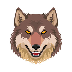 Fototapeta premium wolf's head frontal view, vector illustration
