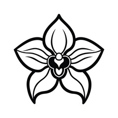 Stylized Black and White Orchid Flower Illustration Botanical Line Art Design Element