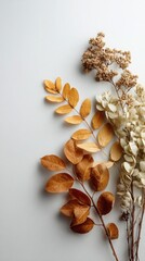 Dried Foliage Arrangement on Neutral Background
