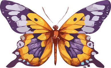 Butterfly vector illustration