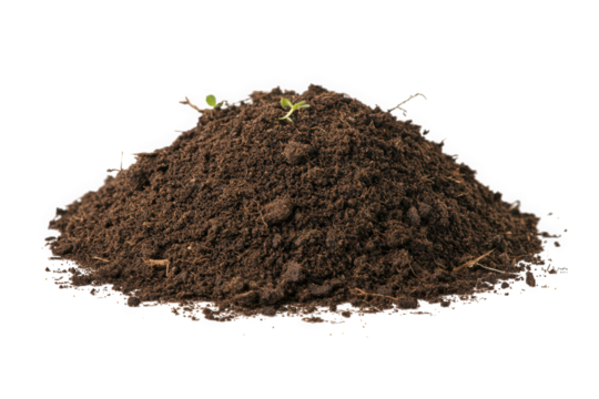 Pile of soil isolated on transparent background with small plant sprout