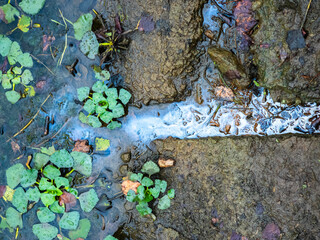 Industrial waste streaming into creek, contaminating water near autumn foliage and aquatic...