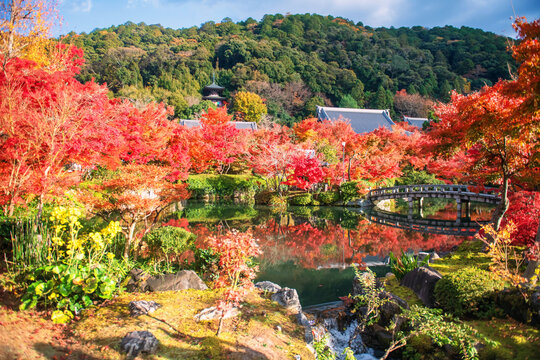 Beautiful autumn garden view with Eikando pagoda in autumn, Kyoto