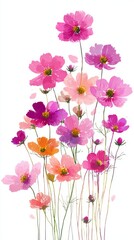 Obraz premium Flat meadow of autumn cosmos flowers on textured paper