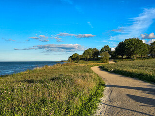 Landscape in denmark with dirt road to the sea