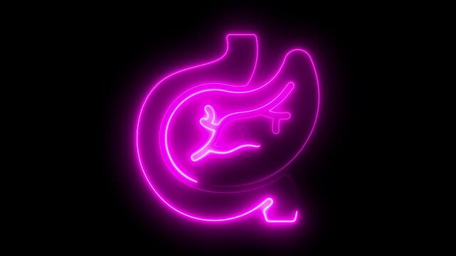 Neon line Pancreas digestive inner organ symbol. Simple reveal and disappear animation. Healthcare body part collection. Human pancreas illustration