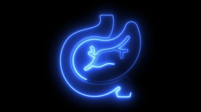 Neon line Pancreas digestive inner organ symbol. Simple reveal and disappear animation. Healthcare body part collection. Human pancreas illustration