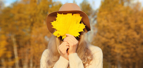 Portrait of happy cheerful woman covering her face with yellow maple leaves in autumn park