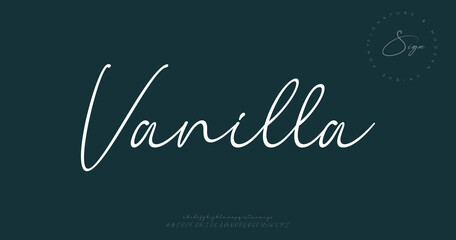 signature Font Calligraphy Logotype Script Brush Font Type Font lettering handwritten