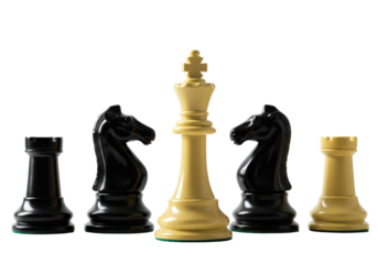 Isolated Chess pieces rook, knight, king chess, strategy game equipment concept object still life