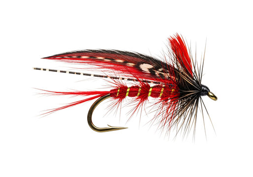 Detailed macro photograph of a vibrant red and black fishing lure with intricate feather and hackle details isolated on transparent background