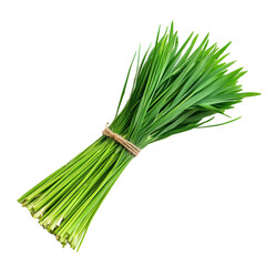 Fresh bundle of green lemongrass tied with rope
