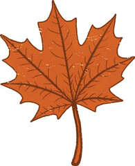 Maple Leaf Autumn Cartoon Illustration, Hand Drawn Orange Maple Leaf Clipart, Cute Fall Maple Leaf Doodle Design