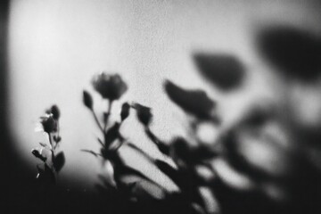 Delicate floral silhouettes