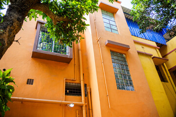Vibrantly Painted Urban Building Exterior with Vertical Windows and Greenery