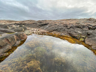 Coastal tide pool with seaweed and rocky shore under overcast sky.