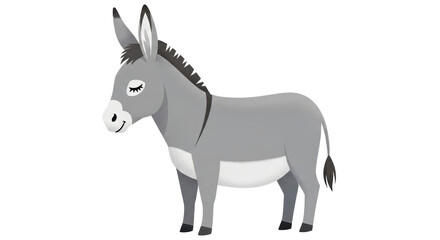 Isolated Donkey