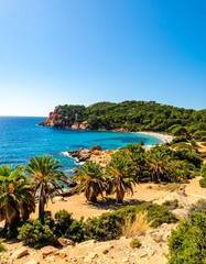 Naklejka premium Coastal landscape with palms and beach