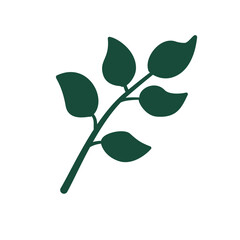 Botanical branch of a tree with green leaves vector