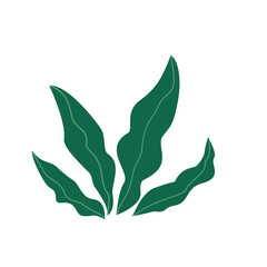 Decorativev green leaves foliage vector illustration 