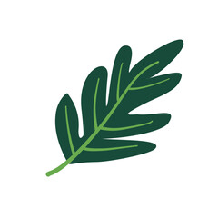 Tropical palm leaf silhouette vector