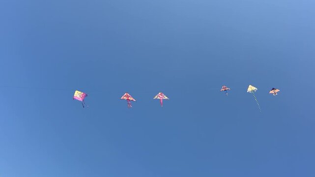 four kites fly in the blue sky