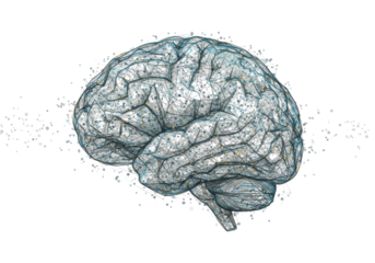 Isolated digital artificial intelligence brain, conceptual neural network illustration
