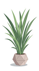 Lush green foliage plant in a modern geometric planter pot