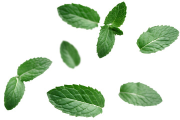 Naklejka premium Fresh green mint leaves scattered on white isolated on a transparent background green leaves