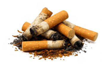 Pile of cigarette butts with ash on transparent background