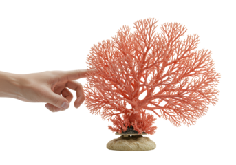 Isolated artificial coral decoration held with fingers, aquarium accessory with no background