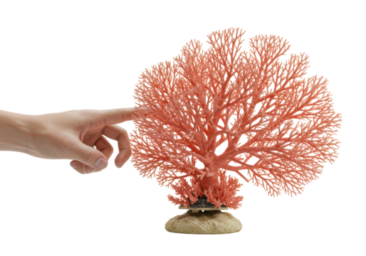 Isolated artificial coral decoration held with fingers, aquarium accessory with no background