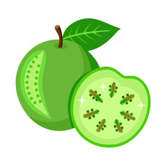 Guava Feijoa Green Tropical Fruit Flat Vector Icon