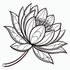 vector lotus flower