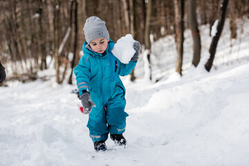 Fototapeta premium Toddler carrying large snowball in snowy woods