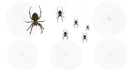 Isolated Spiders and Webs