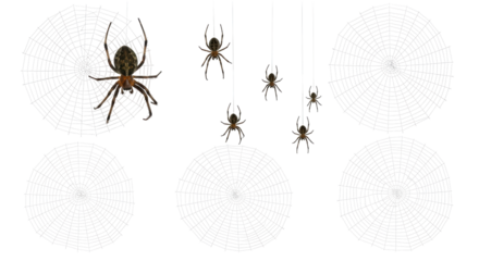 Isolated Spiders and Webs