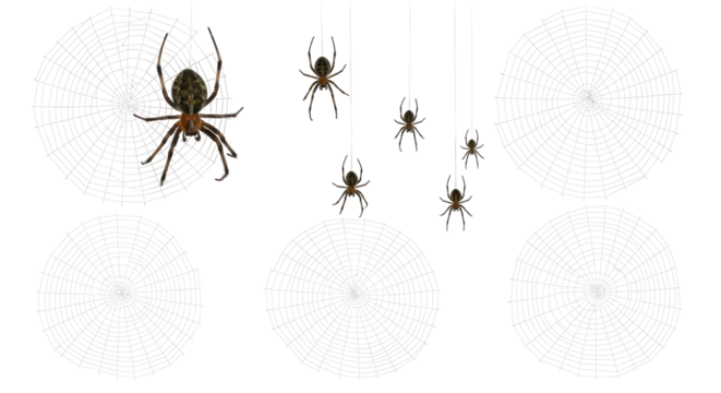 Isolated Spiders and Webs