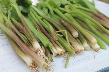 A bunch of genjer vegetables on the table