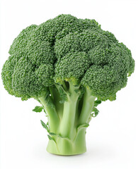 Fresh green broccoli isolated on white background, healthy organic vegetable rich in vitamins, raw food for diet and nutrition