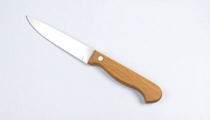 Kitchen knife on a plain background