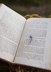 Buch mit Blume