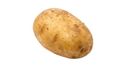 single fresh raw russet potato isolated on transparent background	